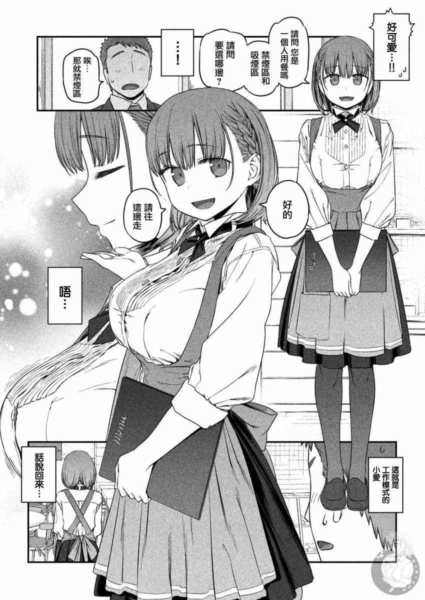c91预览 第3页
