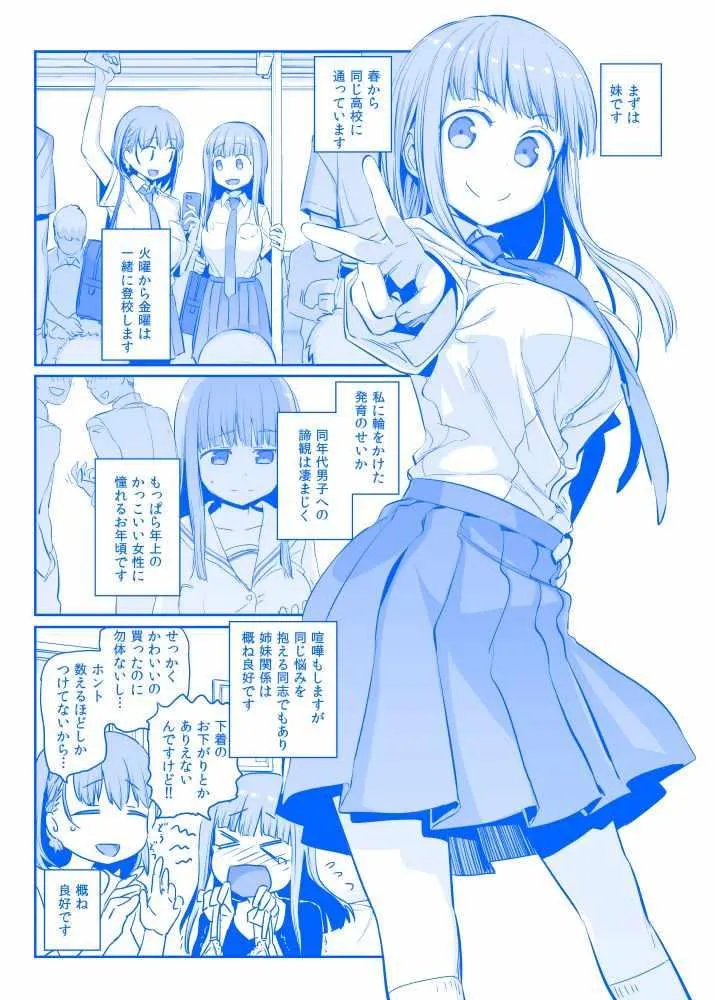 C94预览2 第2页