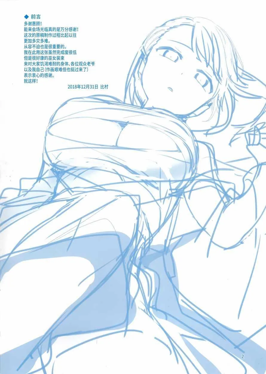 c95会场限定本 第2页
