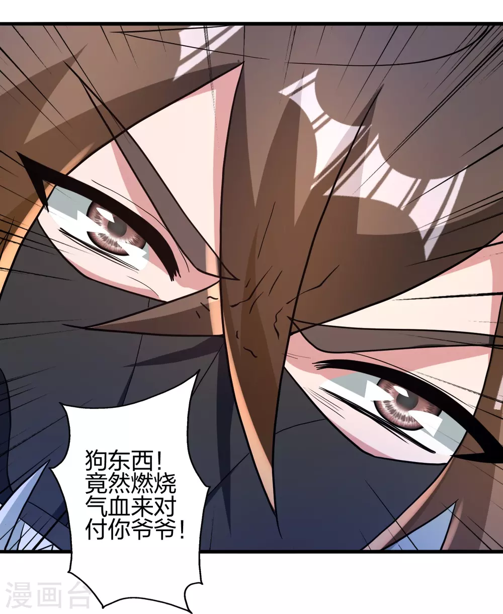 第376话 叶辰发威~ 第84页