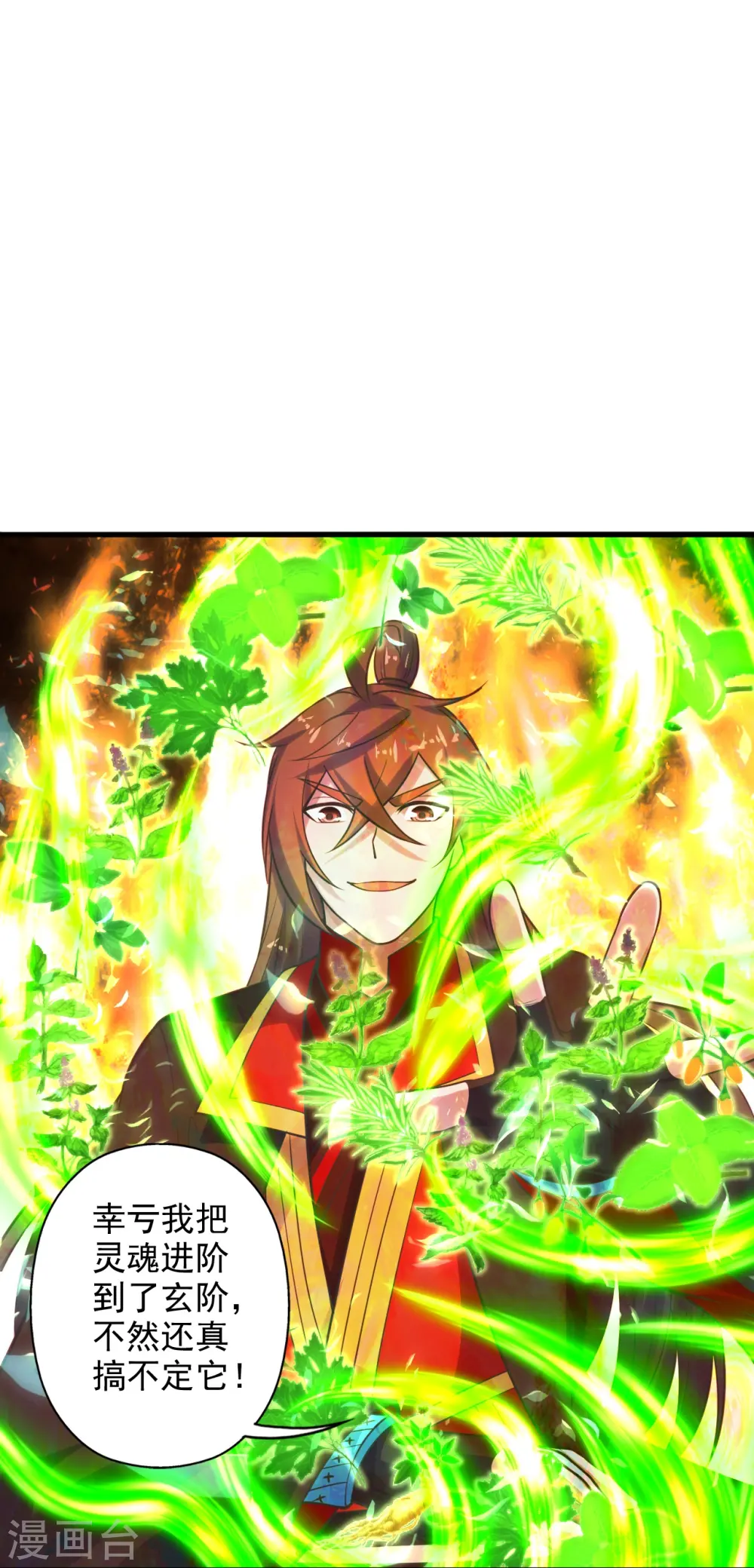 第209话 初炼三纹灵丹！ 第4页