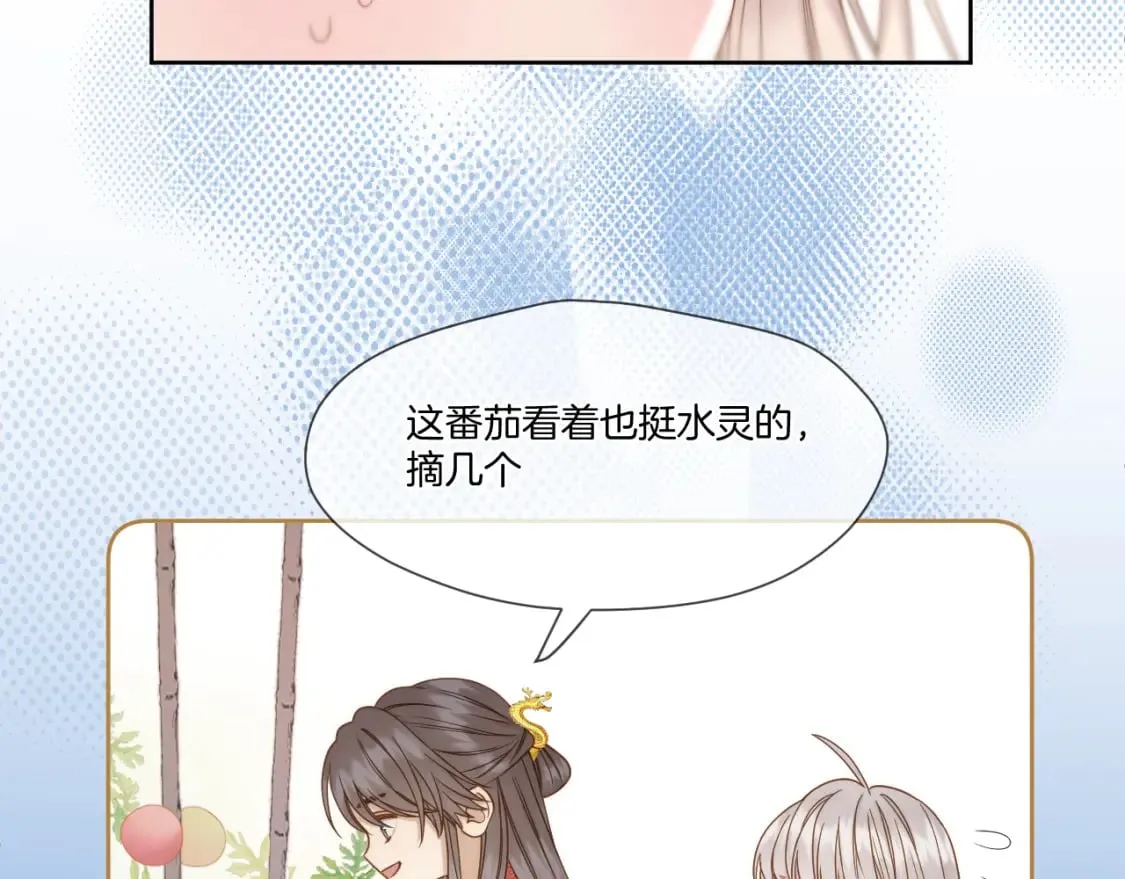 第41话 人气排名 第14页