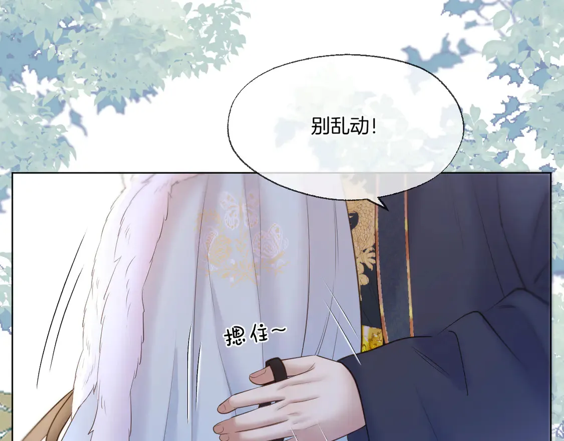 第64话 贤妃的马车 第52页
