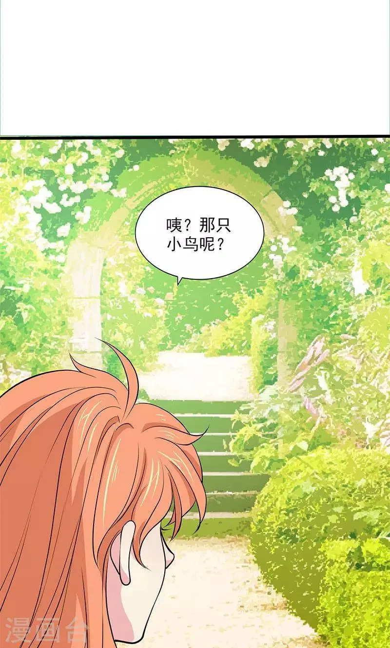 最终话 第25页