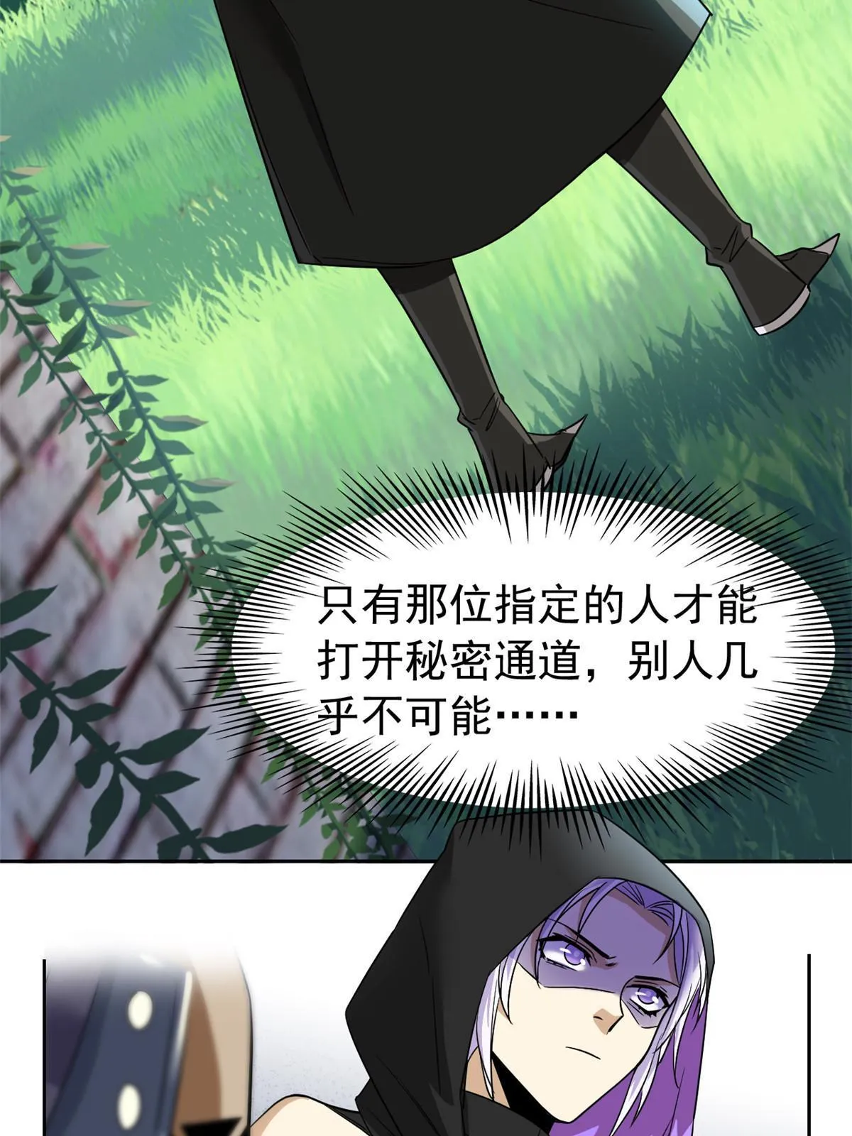 146 同族弱鸡，五彩野雉 第13页