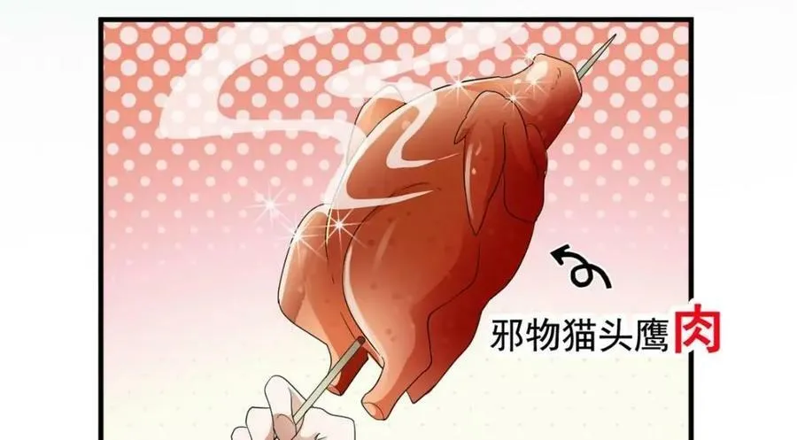 178 镇国之鸡，苍澜羽皇 第12页