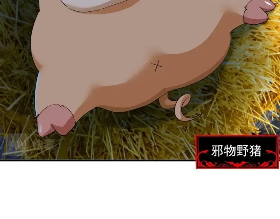 178 镇国之鸡，苍澜羽皇 第24页