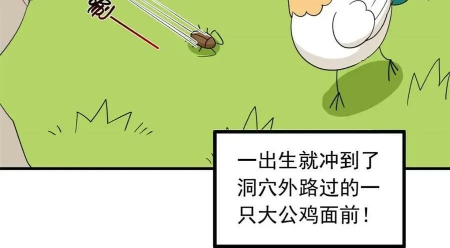 178 镇国之鸡，苍澜羽皇 第63页