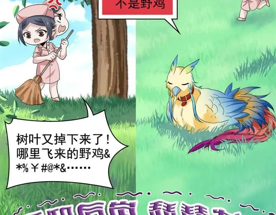 180 不是野鸡，就是故意 第27页