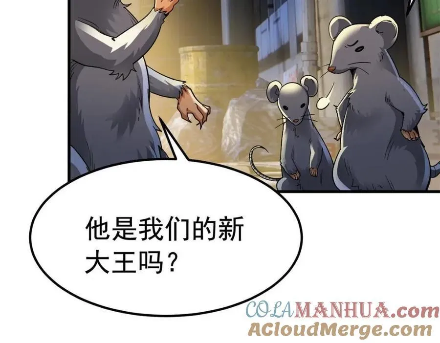 182 老张醒醒，一起异域？ 第13页