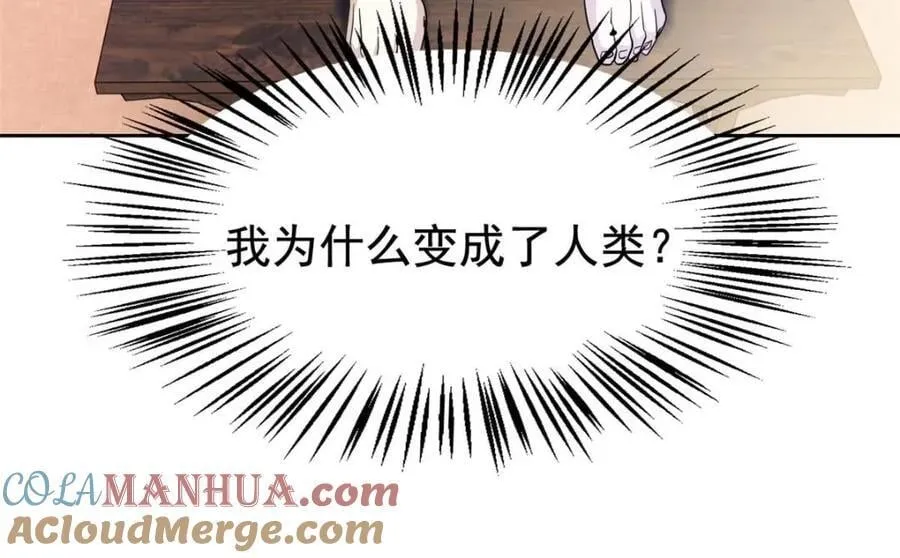 185 性转母鸡，惨遭蹂躏 第41页