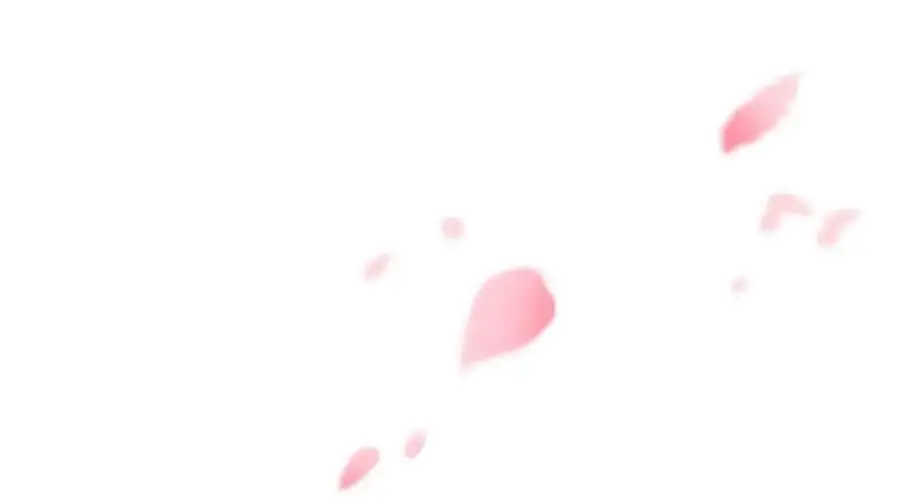 206 说话算话，回来娶你 第66页