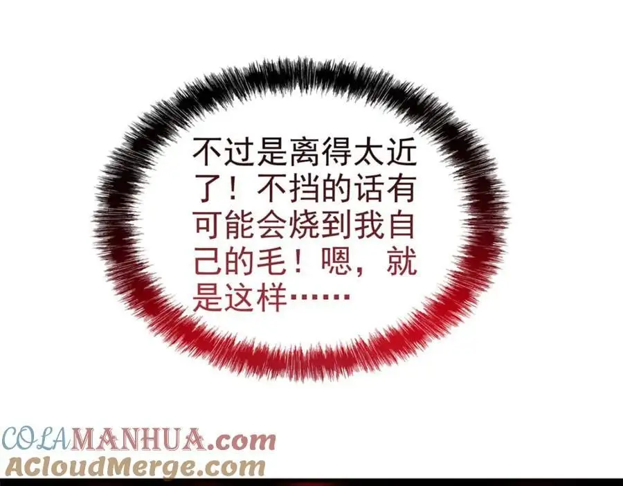 217 统御之邪，三足金乌 第113页