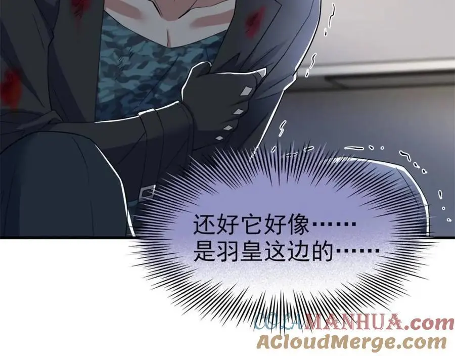 222 曜月寒冰，无尽火阳 第13页