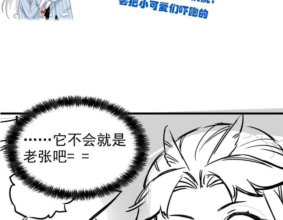 258 凤凰拔毛，说谎代价 第84页