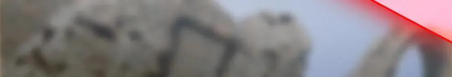 295 本主若灭，你必先死！ 第88页