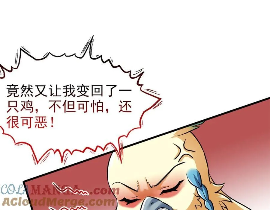 299 公鸡母鸡，感情真好 第41页