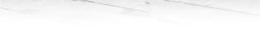 303 叮咚叮咚，给我道歉！ 第102页
