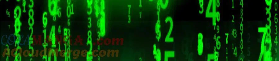 309 傻子才信，黑色颈箍 第45页