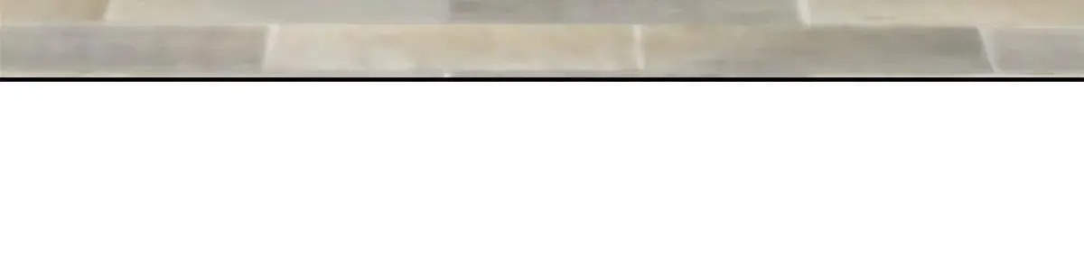 321 我瞎我瞎！再骗瞎掉！ 第38页