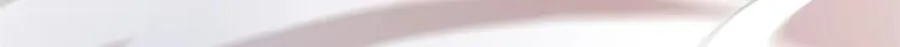 340 无法想象，难以战胜 第55页