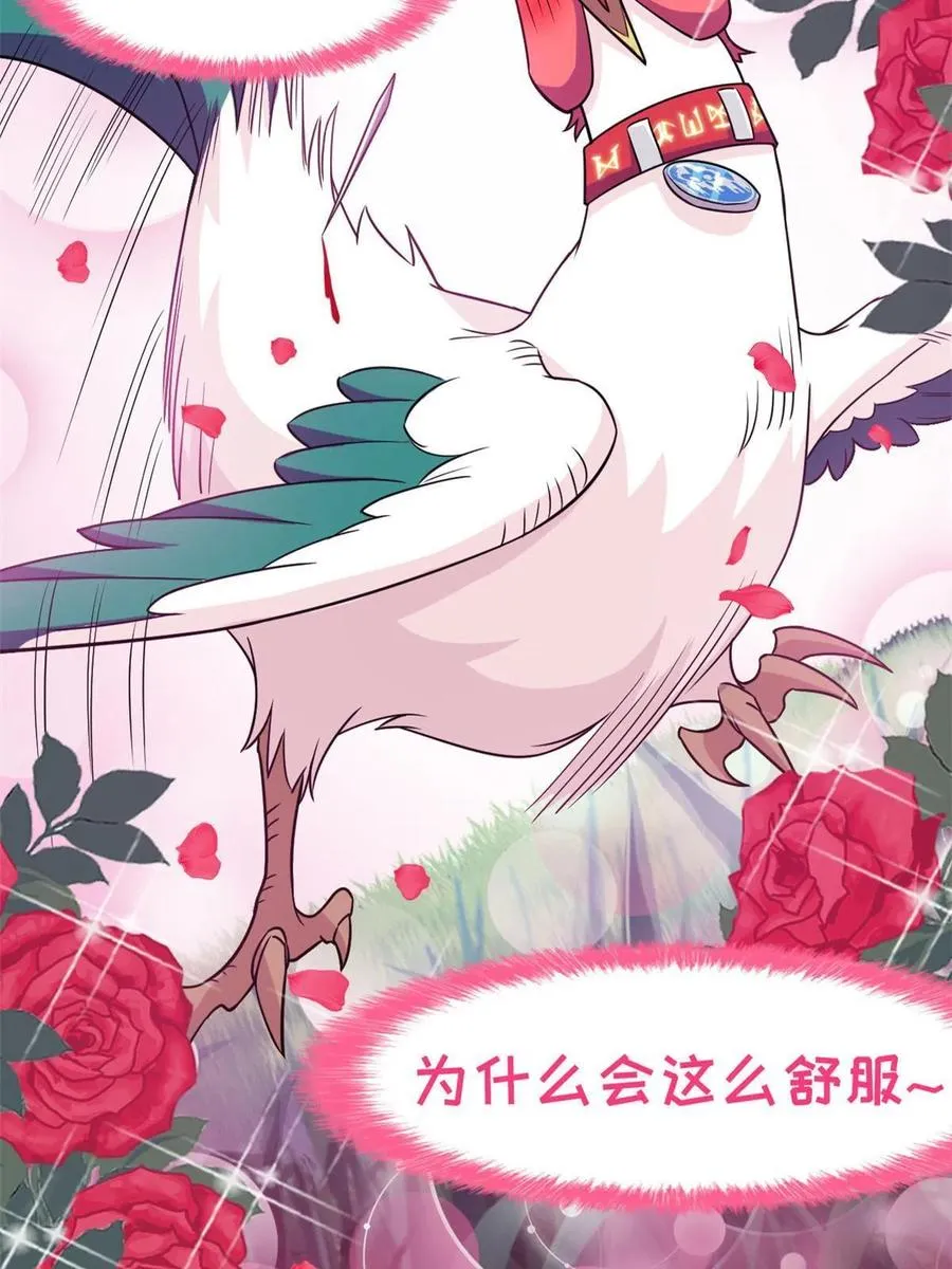 83 鸡果然鸡，臭不要脸！ 第35页