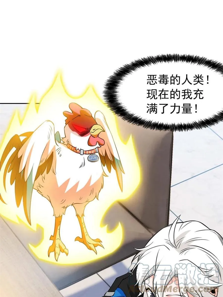 81 叛徒公鸡，你个辣鸡 第28页