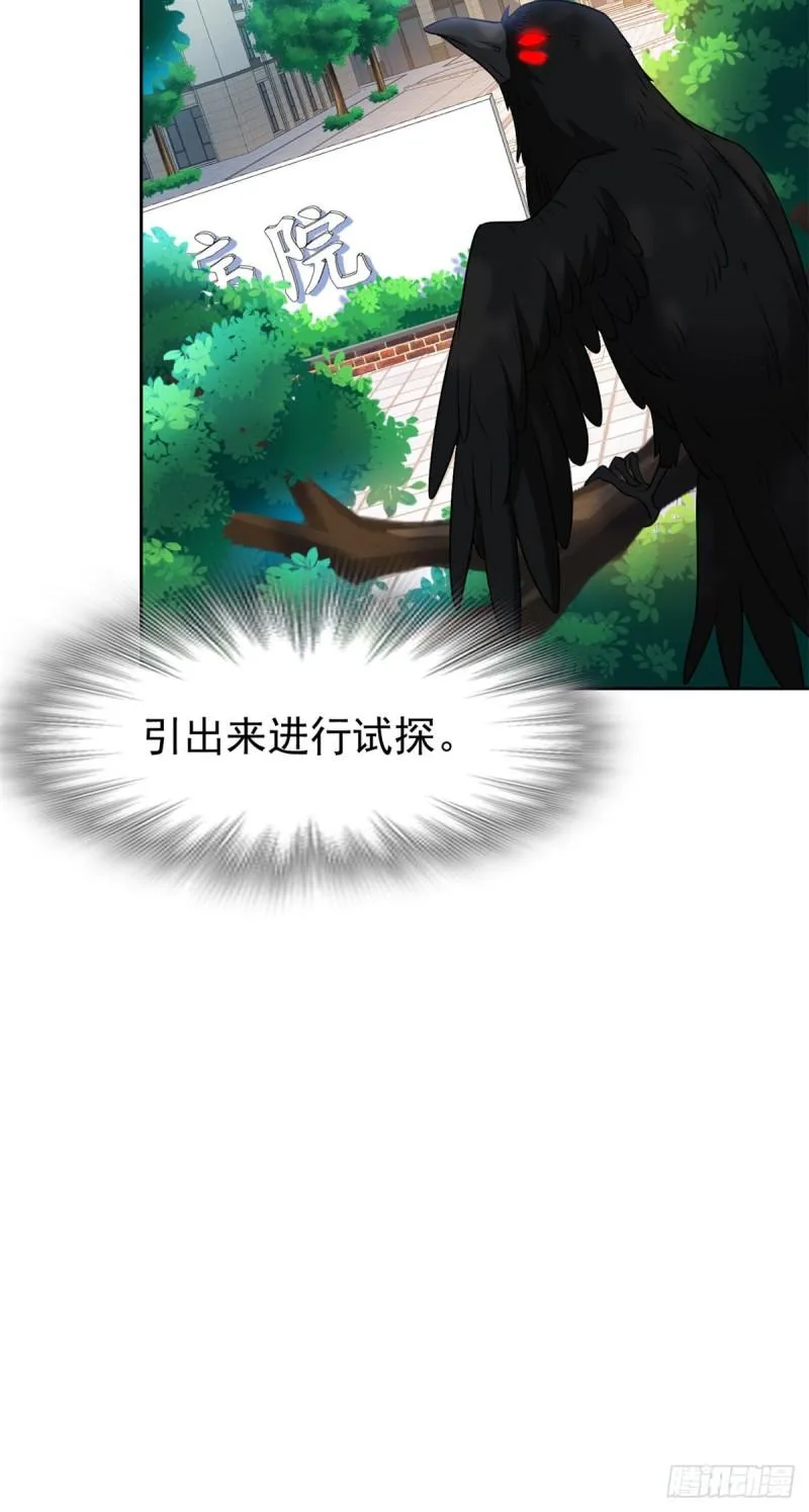 61 唢呐一响，全村吃席 第5页