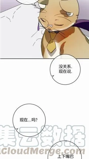 第18话 第19页