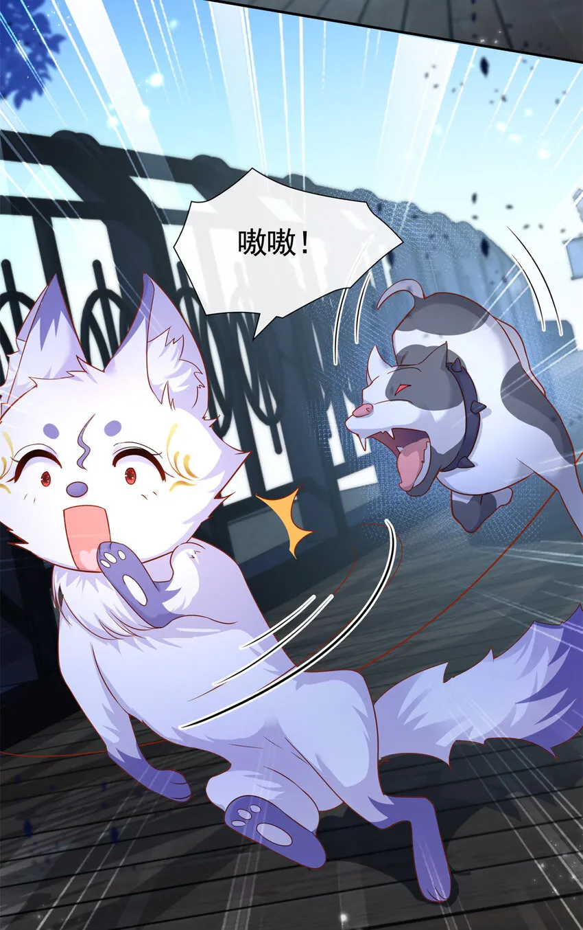 预告 预告 第4页