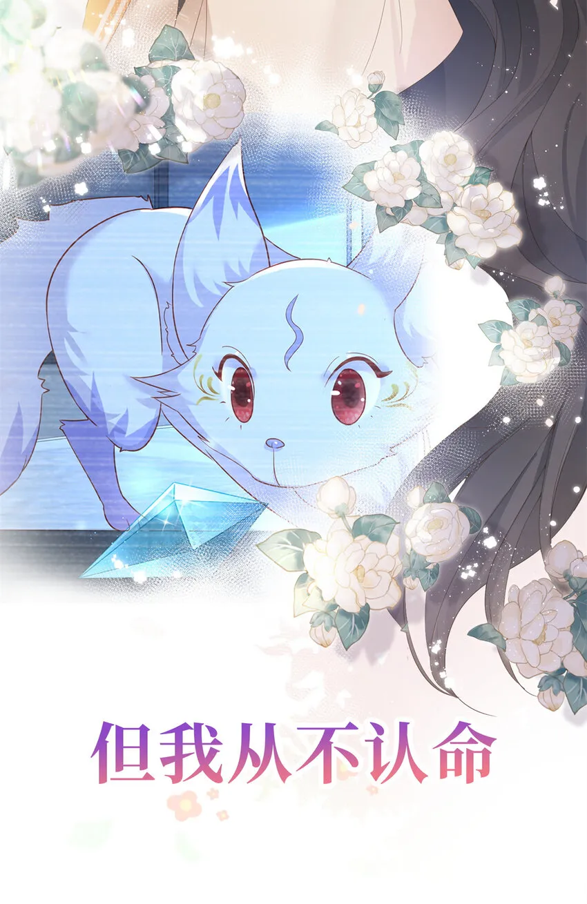 预告 预告 第12页