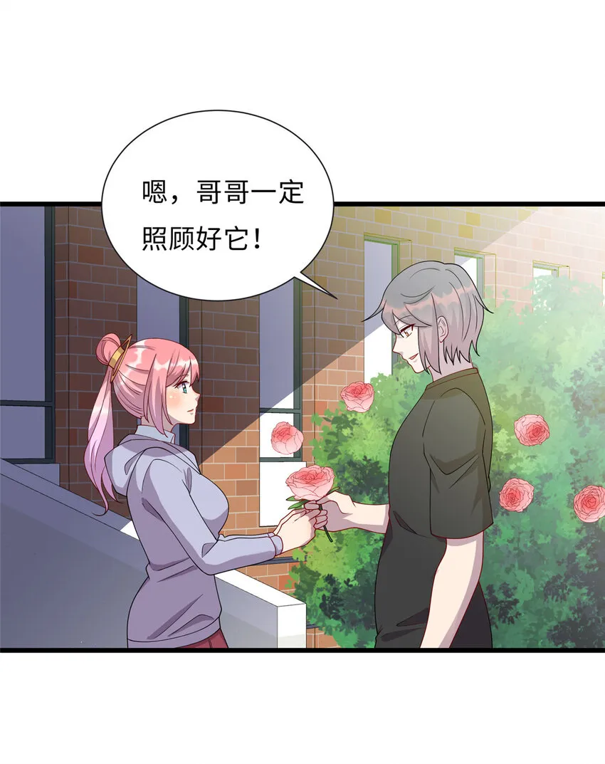58 赠君蔷薇 第31页