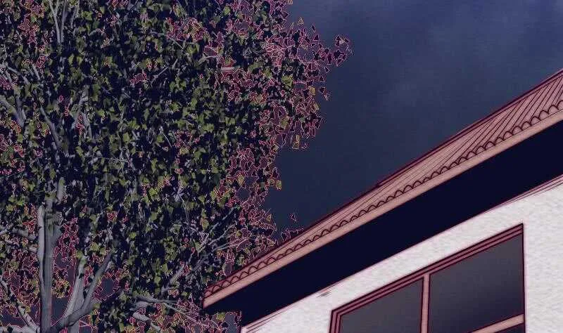 第148话 奶奶您去哪？ 第5页