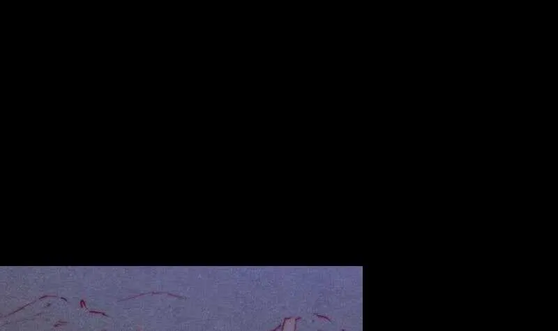 第149话 花哥威武 第22页