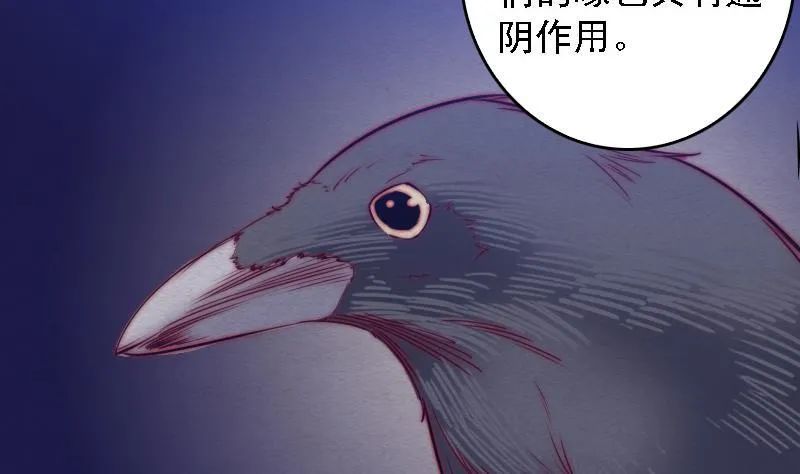第108话 缺一不可 第46页