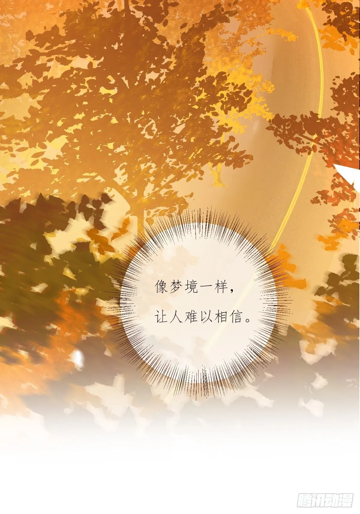 11-3 下 夕阳 第13页