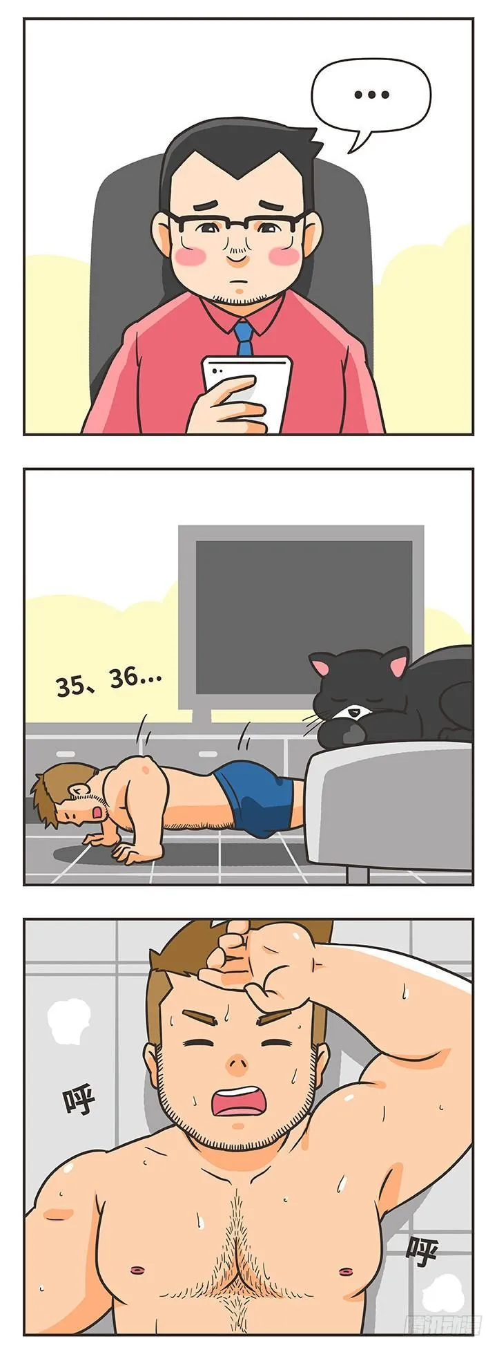 16-猫 第5页