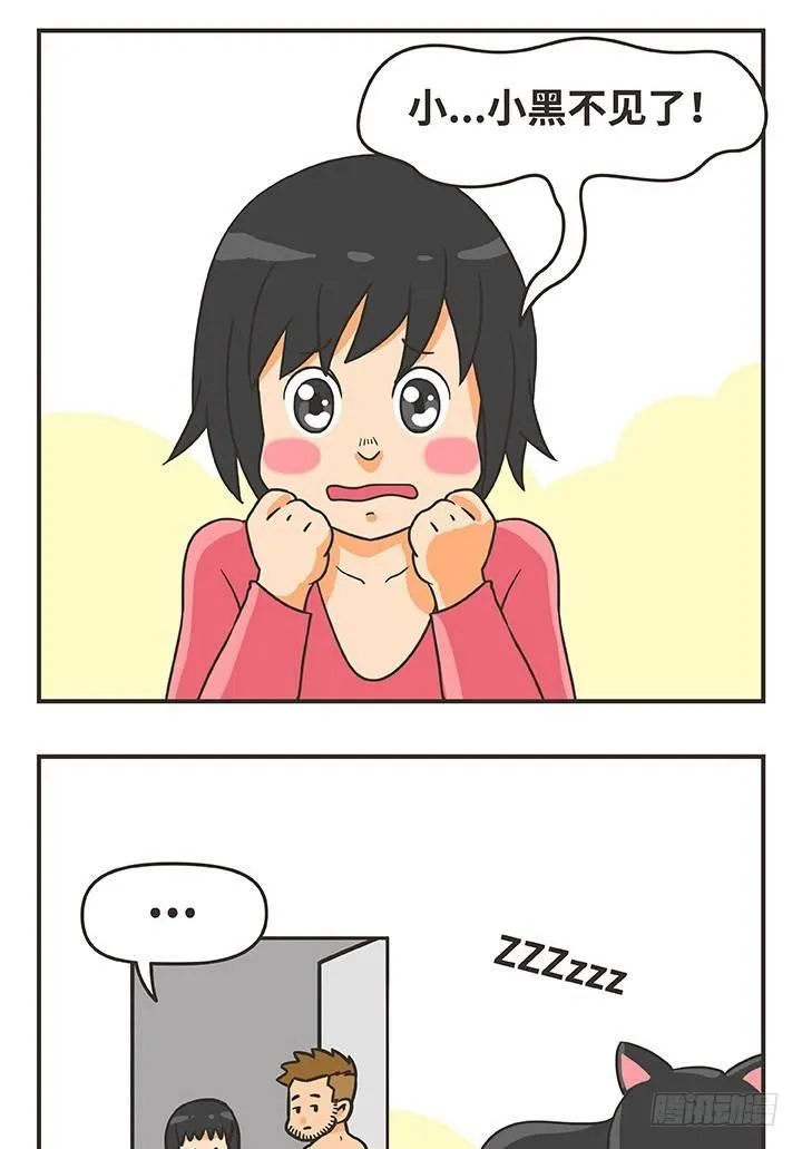 16-猫 第15页