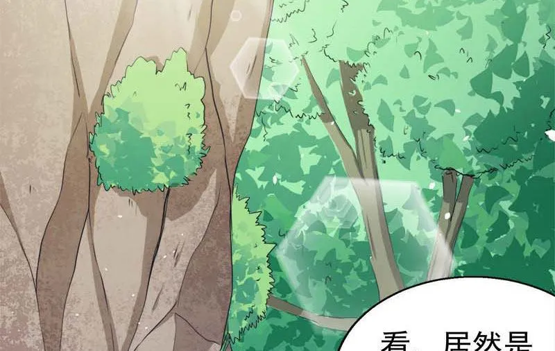 025埋骨之地 第15页