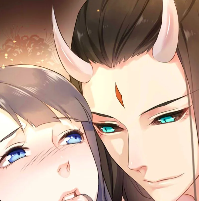 028家养 第1页