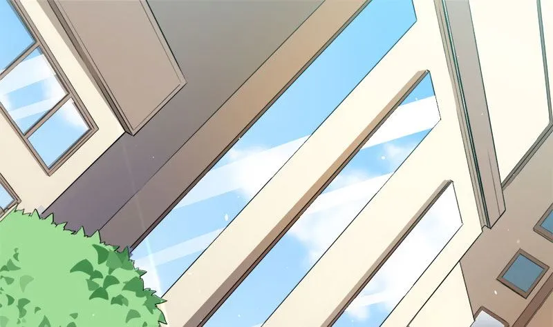 028家养 第4页