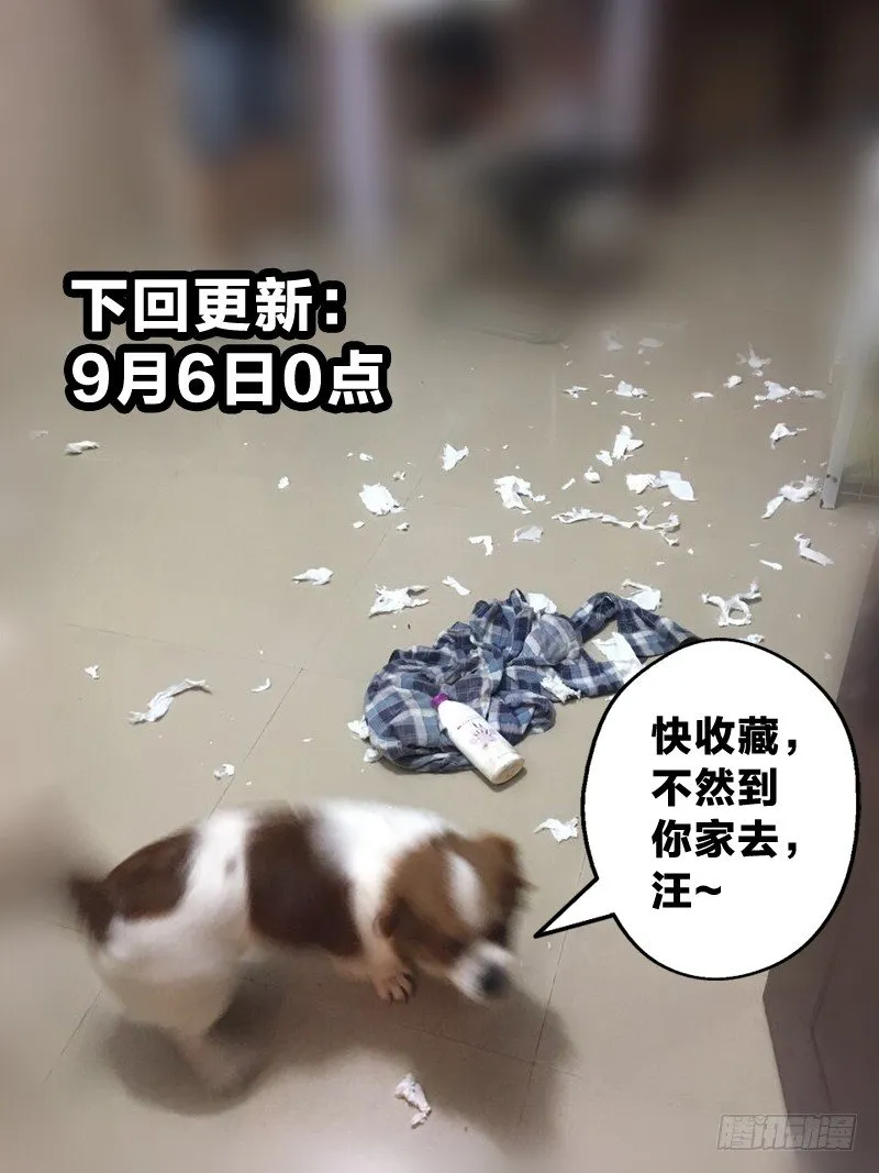 9：这个我要了 第14页