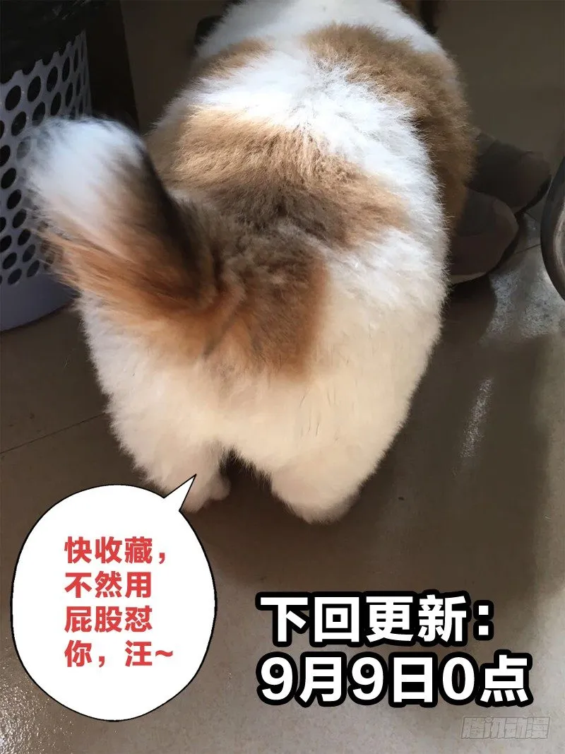 10：爱情从不可耻 第15页