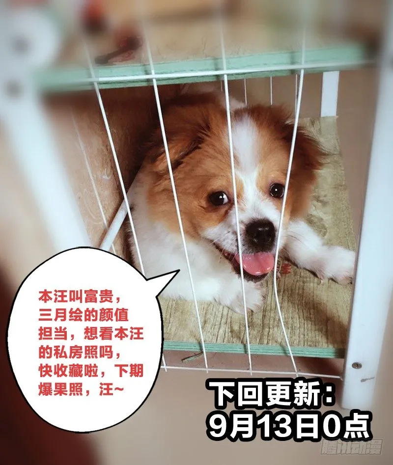 11：一炮毁所有 第15页
