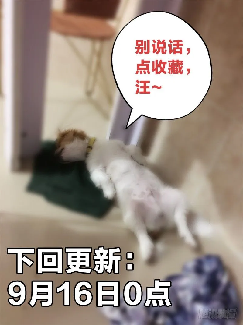 12：风景这边独好 第13页
