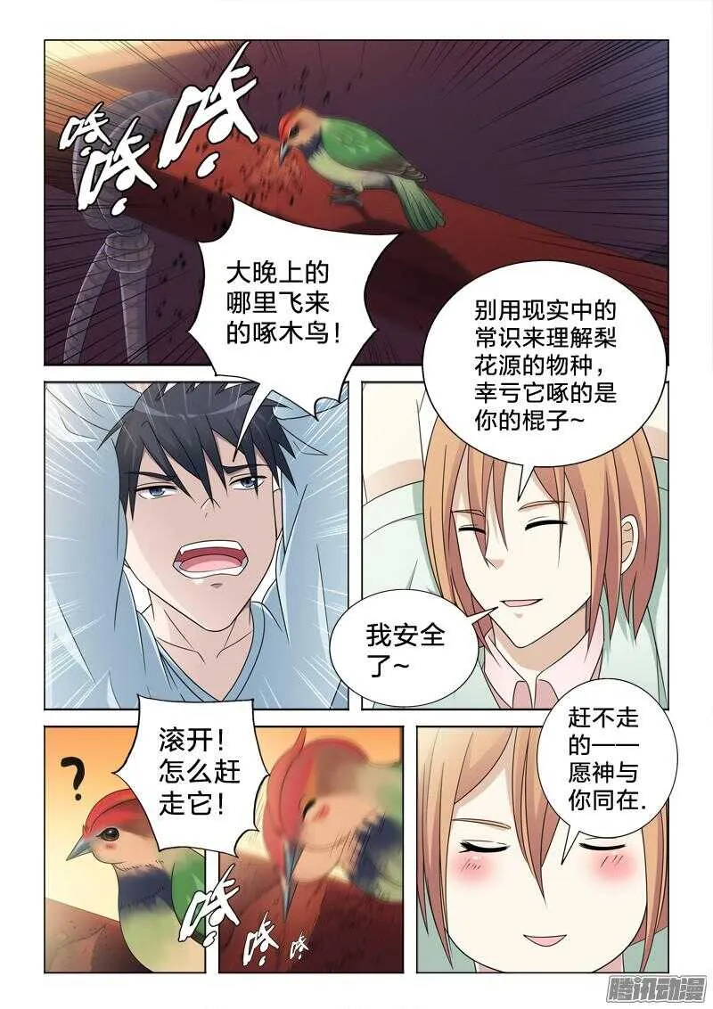 55：鸟罚 第11页
