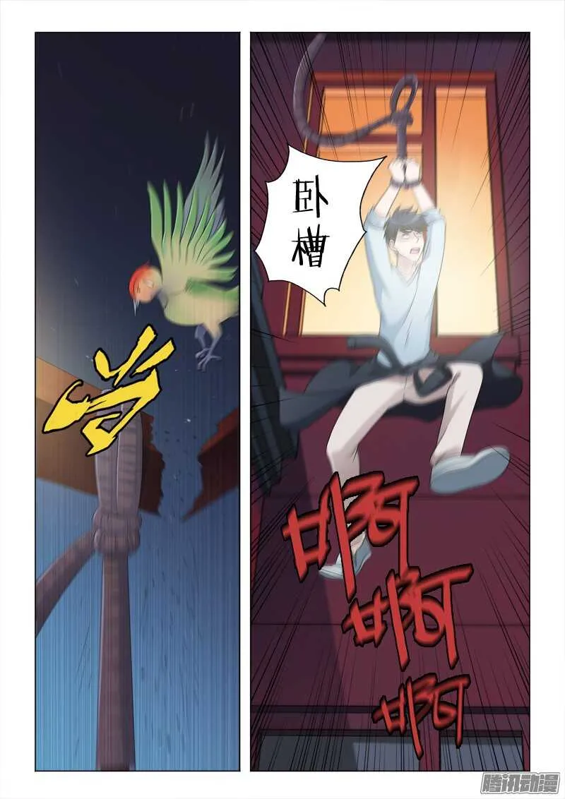55：鸟罚 第12页