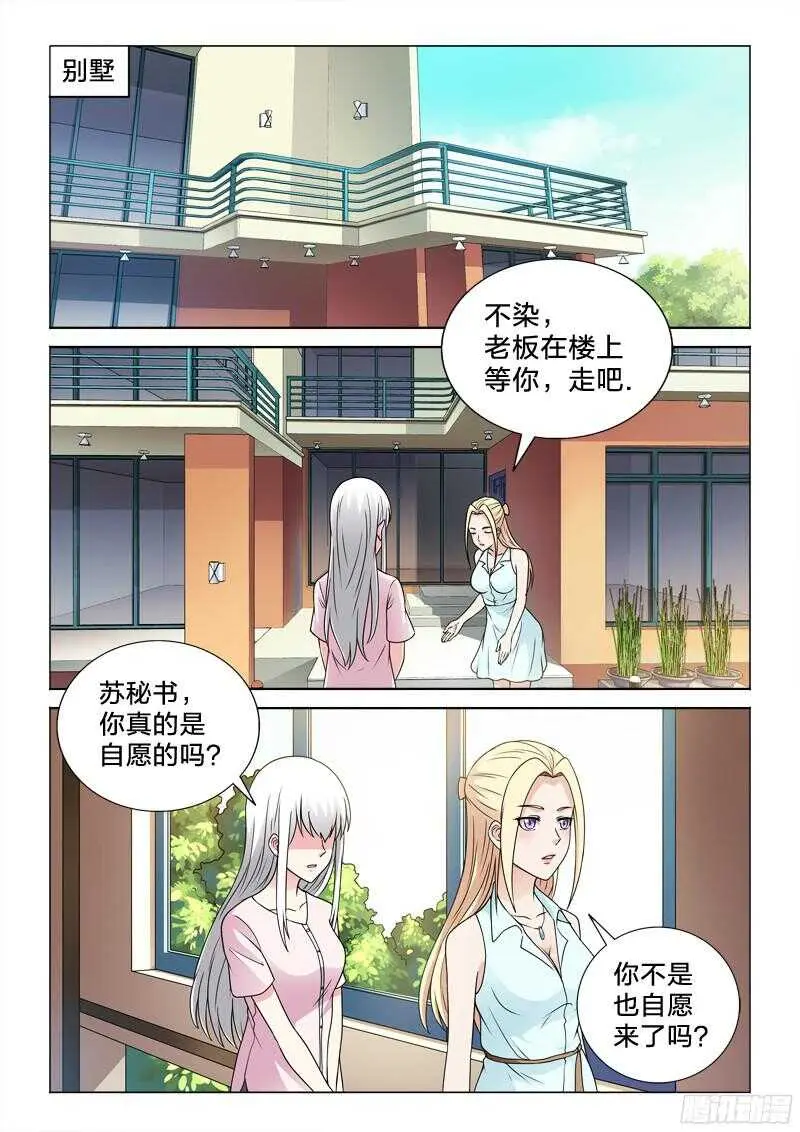 69：洗白白 第11页