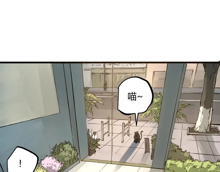 第1话 黑猫之疑 第9页