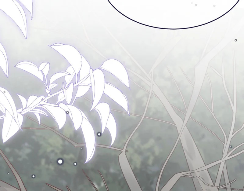 第111话 迷雾森林 第37页